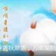 联塑管道山西太原总代理