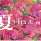 联塑管道山西太原总代理
