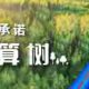 联塑管道山西总代理